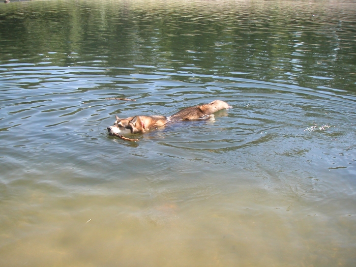 Die Ardeche ist …