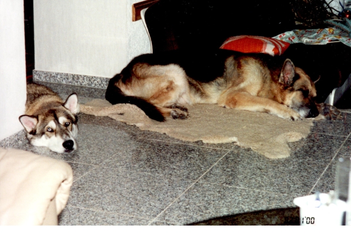 Mein neuer Freund …