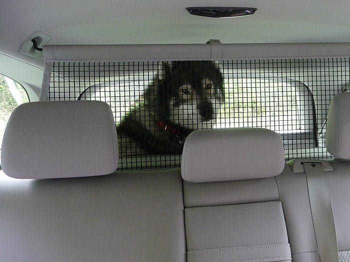 Unser SAM ist schon im …